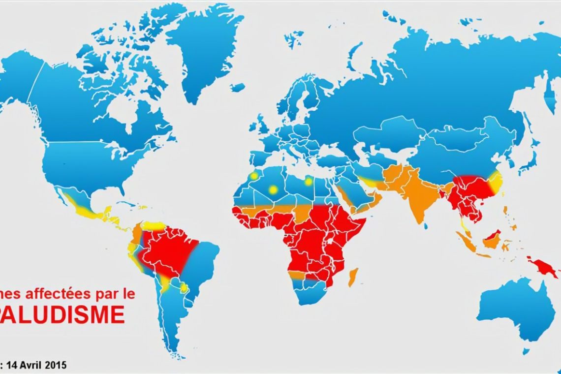 Selon l’OMS le changement climatique est un obstacle à lutte contre le paludisme